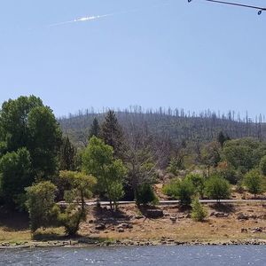 Meet your Posher, Steve